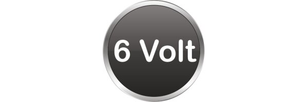 AGM Batterien 6V