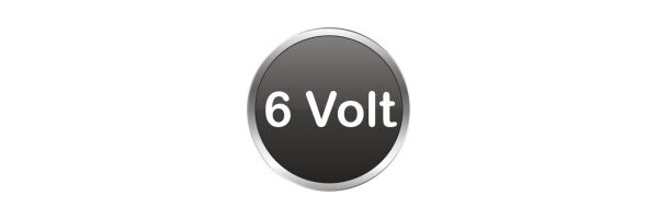 AGM Batterien 6V